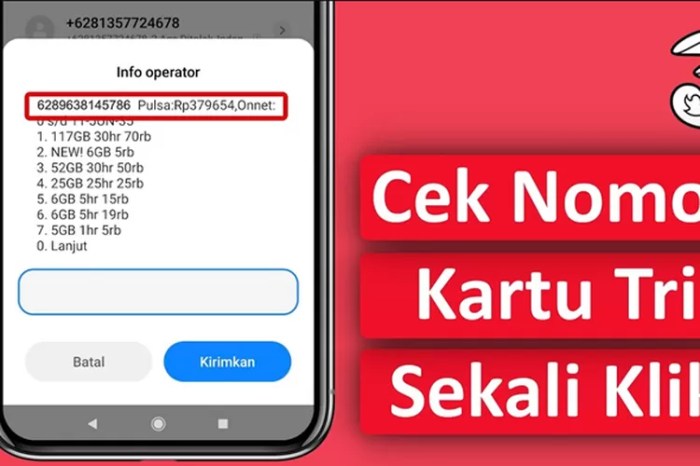 Cek Nomor Tri Lewat Panggilan