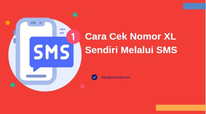 Cara Cek Pulsa Xl Melalui Sms