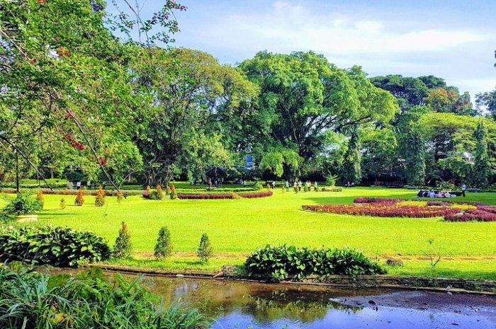 Bogor wisata tempat alam instagramable piknikdong tak paling boleh dilewatkan