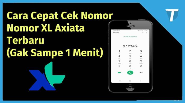 Cek Pulsa Xl Tanpa Internet