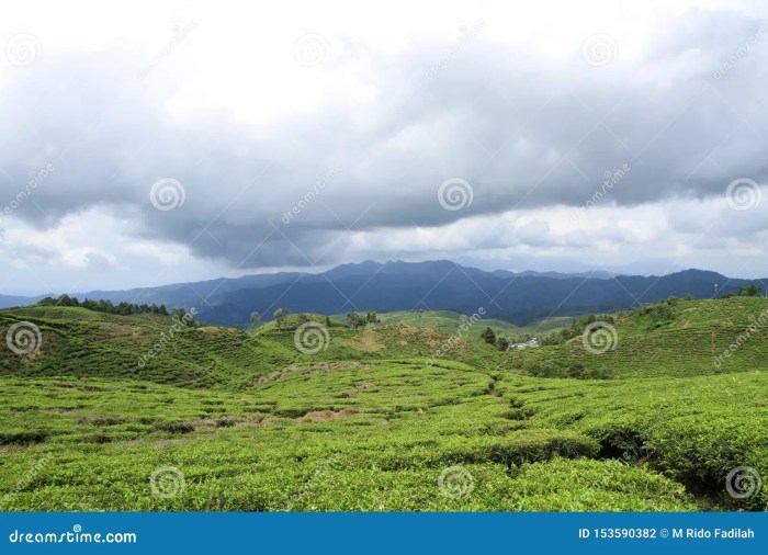 Wisata Bogor Dengan Pemandangan Alam